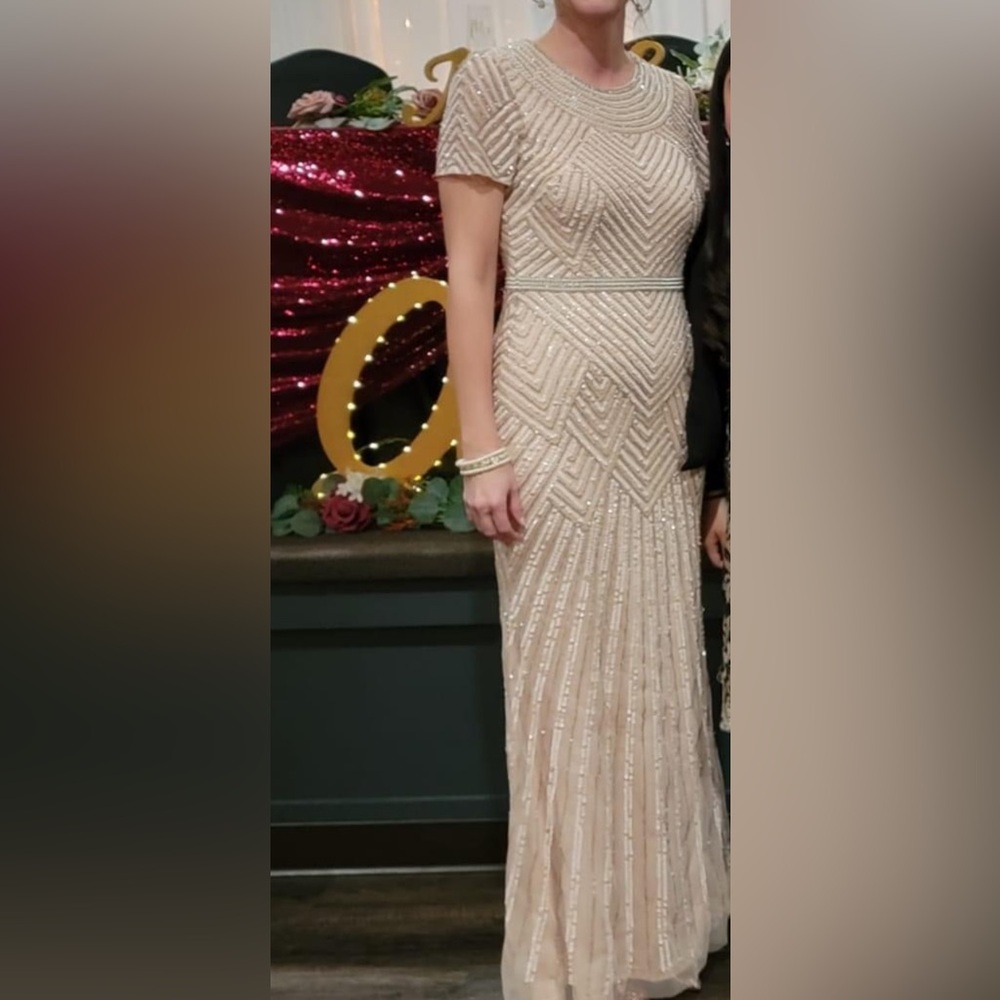 Adrianna Papell Elegant Beaded Floor Length Blush Dress